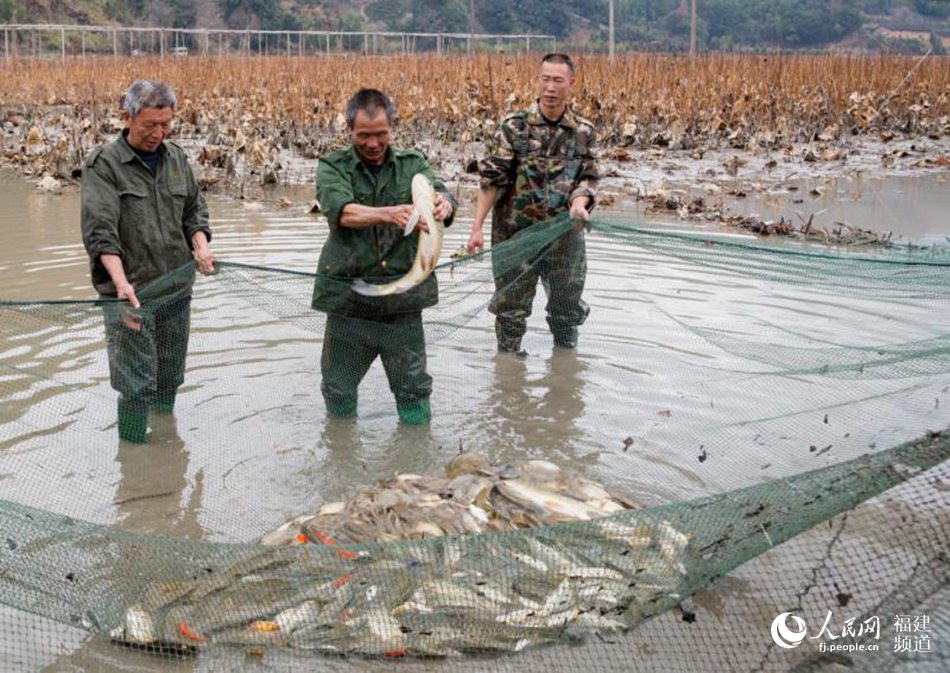 �����B(y��ng)ֳ�����]���y�Ўͷ���ϲ�@�S�ա����Ԭ| ���D