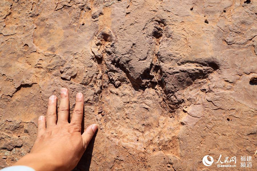 ����ʡ���r���Ϻ��h�R���(zh��n)������״ΰl(f��)�F(xi��n)���׈����������EȺ��ʯ������ʡ�������k���D