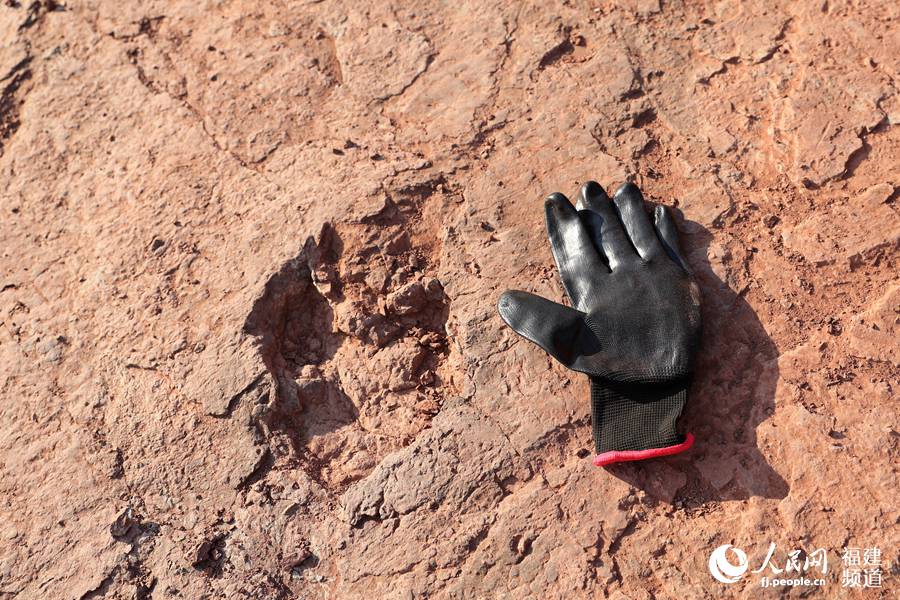 ����ʡ���r���Ϻ��h�R���(zh��n)������״ΰl(f��)�F(xi��n)���׈����������EȺ��ʯ������ʡ�������k���D