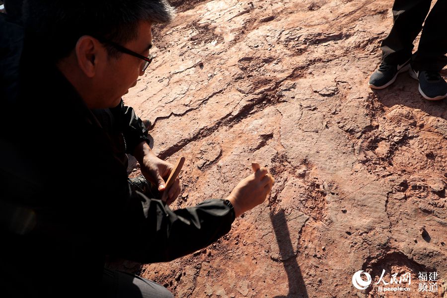 ����ʡ���r���Ϻ��h�R���(zh��n)������״ΰl(f��)�F(xi��n)���׈����������EȺ��ʯ������ʡ�������k���D