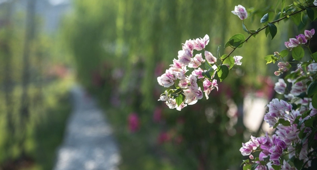 ���µ���Ժ�����ⰻȻ����������������W(xu��)Ժ���D