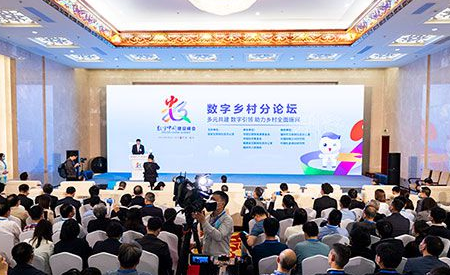 ��(sh��)���l(xi��ng)���Փ����̽�������ɳ��m(x��)�l(f��)չ�C(j��)��