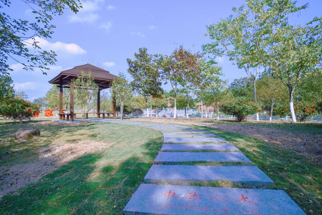 ���������̡�С���������l(w��i)���I(y��)�W(xu��)Ժ���D