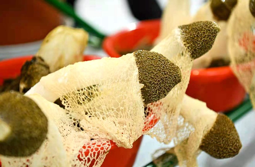 չ���ϸ�ʽ���ӵ�ʳ�þ������k�����D