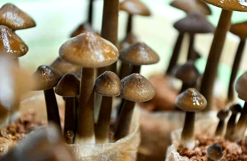 ʮ��ȫ����(y��u)��ʳ�þ����a�^(q��)ʢ�b���������k�����D