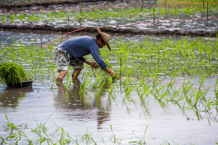 �����������еĵ���һ�cһ�c�L�����h�ա���κ�l(f��)�ɔz