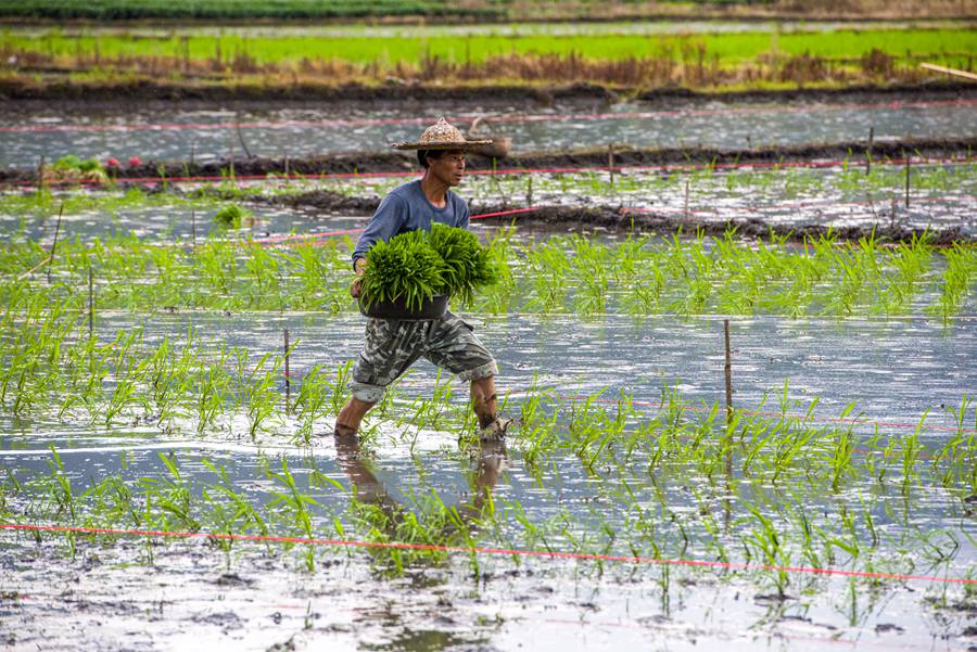 �����������еĵ���һ�cһ�c�L�����h�ա���κ�l(f��)�ɔz