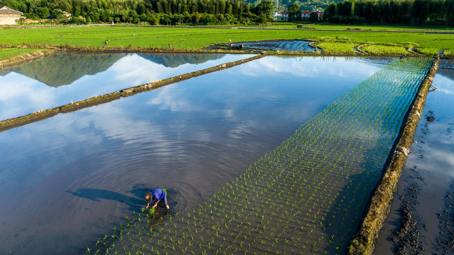 ���������gæµ��κ�l(f��)�ɔz