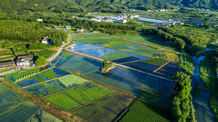 ����ʡ�������Ϙs�hէ���l(xi��ng)ʯɽ��(y��u)�|(zh��)��Ʒ�Nʾ���ƏV�o�������ء�κ�l(f��)�ɔz