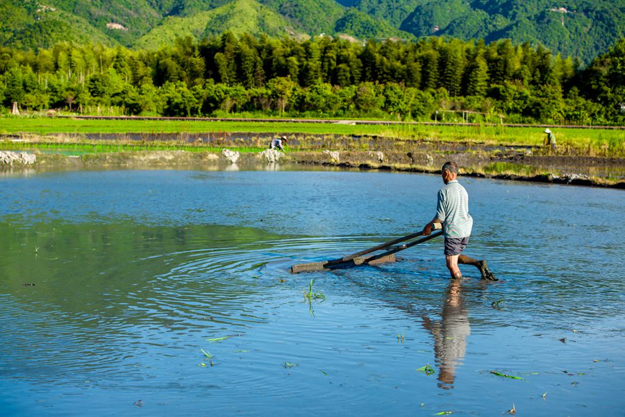 ���������gæµ��κ�l(f��)�ɔz