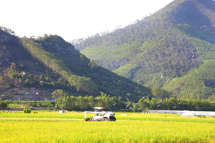 �r(n��ng)���{��r(n��ng)�C(j��)�ո�ˮ����һȺ�����h(hu��n)�@���w����혽ܔz