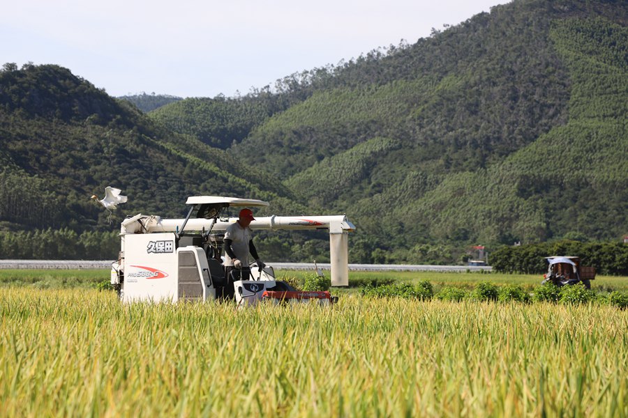 �r(n��ng)���{��r(n��ng)�C�ո������혽ܔz