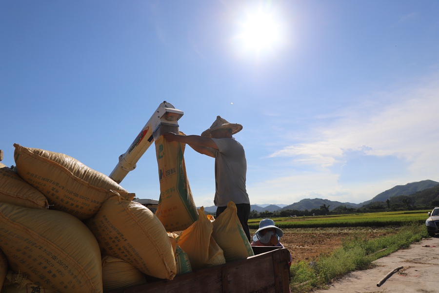 ���������r(n��ng)��(h��)���b�\(y��n)��������혽ܔz