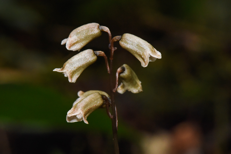 ��������������ɽ���ҹ��@���бO(ji��n)�y���Ĺ��D