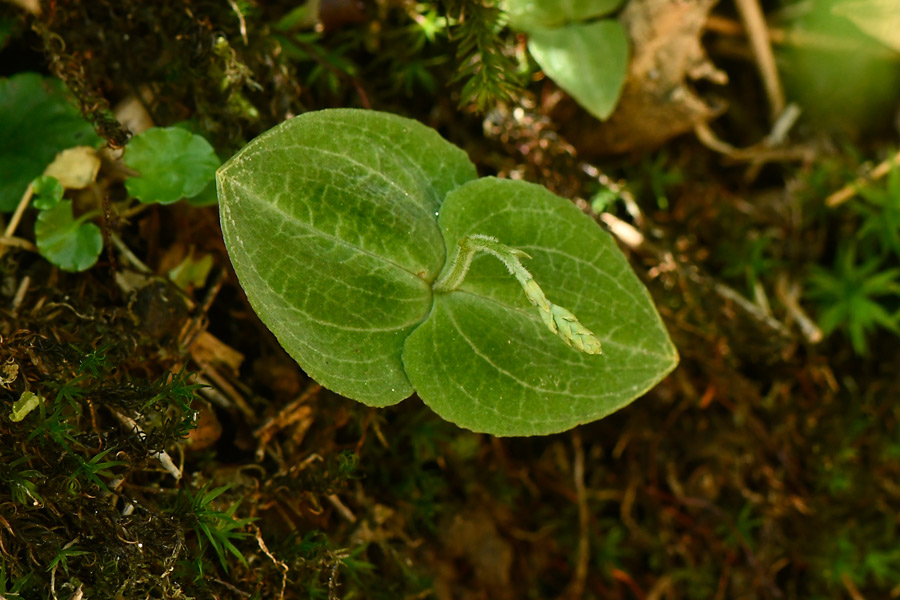����ɽ���~�m������ɽ���ҹ��@���бO(ji��n)�y���Ĺ��D