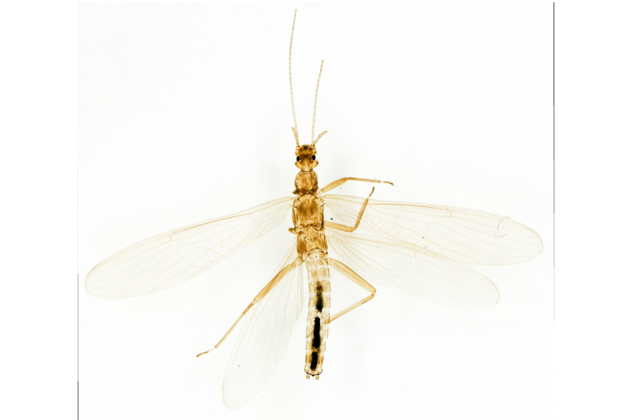 �����Z�H������ɽ��(gu��)�ҹ��@���бO(ji��n)�y(c��)���Ĺ��D