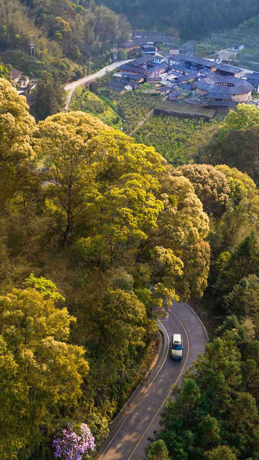 �Ř��������˾G�����Tľ���z