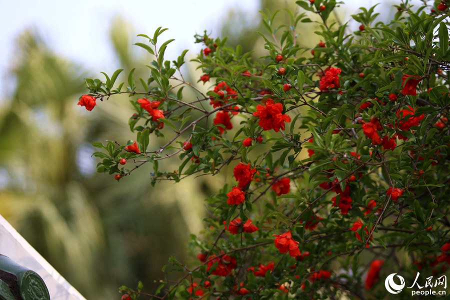 �B�T��ɽ���@��(n��i)ʯ����_���t��������W(w��ng) ꐲ��z