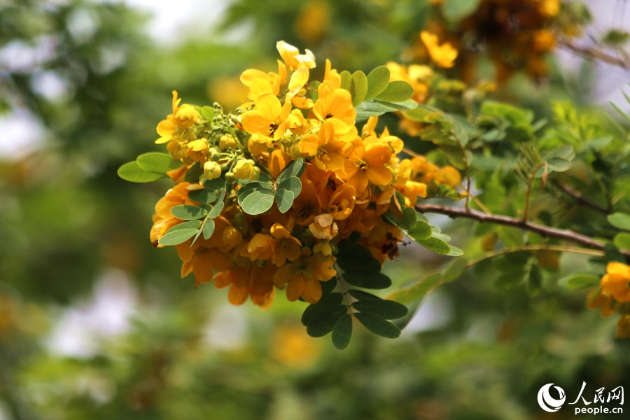 �B�T��Ѧ�X���@���S�����_�M�@������W(w��ng) ꐲ��z