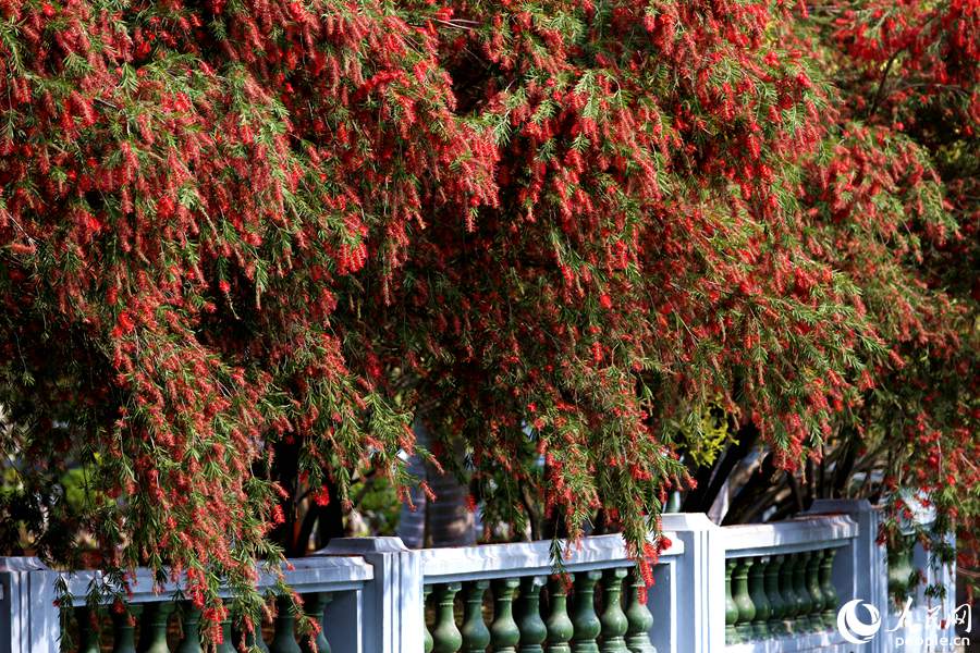 ��ɽ���@��(n��i)�tǧ��ŭ��������W(w��ng) ꐲ��z