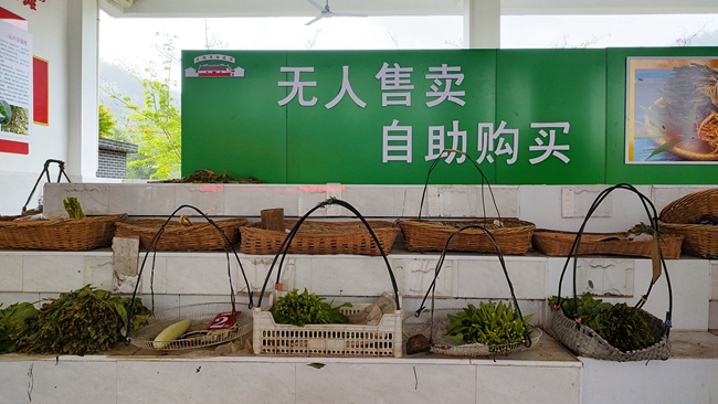 放眼望去，自助菜攤滿(mǎn)滿(mǎn)地放著二三十個(gè)菜籃子，籃子里都擺上了各種時(shí)令蔬菜。永定區(qū)委組織部供圖