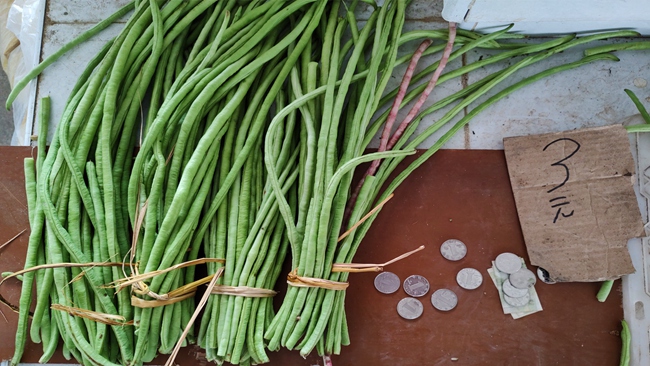 自助菜攤里，多數(shù)蔬菜一把只要１元錢(qián)，最貴的也不會(huì)超過(guò)5元。永定區(qū)委組織部供圖
