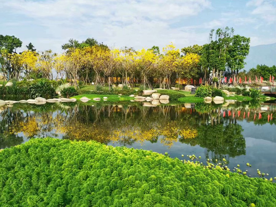 陳厝河。晉安區(qū)河長辦供圖