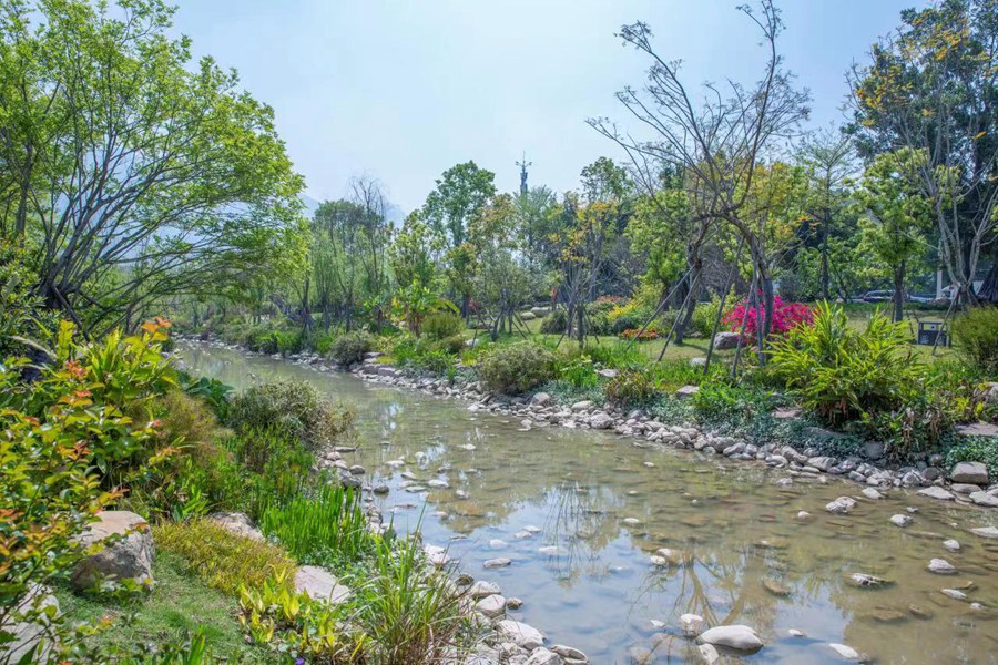 陳厝河。晉安區(qū)河長辦供圖