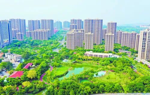 洋唐居住區(qū)。王協(xié)云 航拍器攝