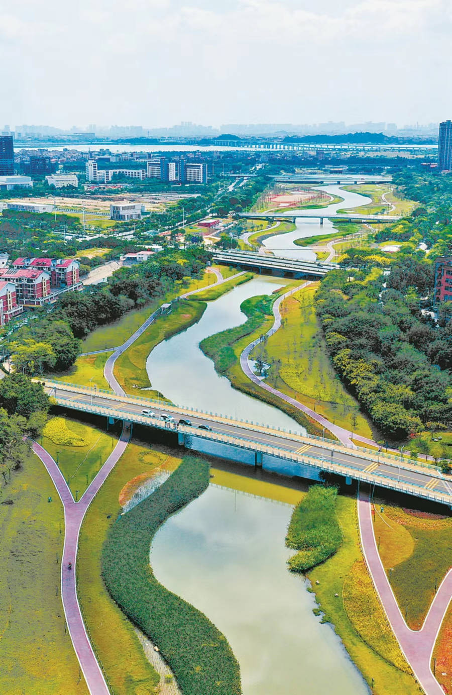 埭頭溪。廈門市水利局供圖