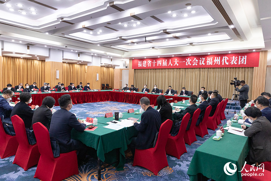 福建省十四屆人大一次會(huì)議福州代表團(tuán)分組審議省政府工作報(bào)告。人民網(wǎng) 焦艷攝