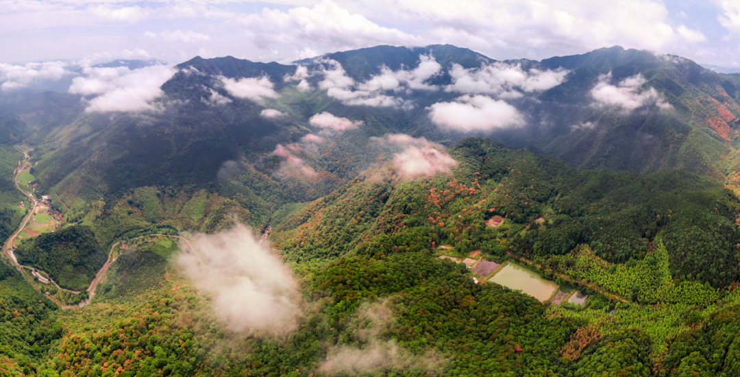 九阜山全貌。三明市融媒體中心供圖