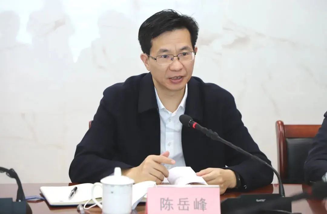 陳岳峰(資料圖)