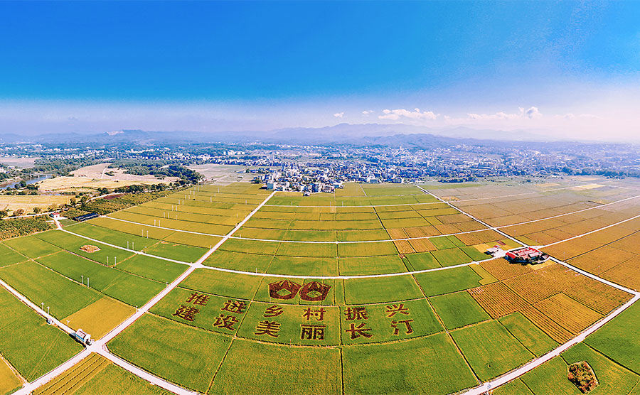 9月29日，龍巖長(zhǎng)汀縣河田鎮(zhèn)南塘村水稻漲勢(shì)喜人。李碧春攝