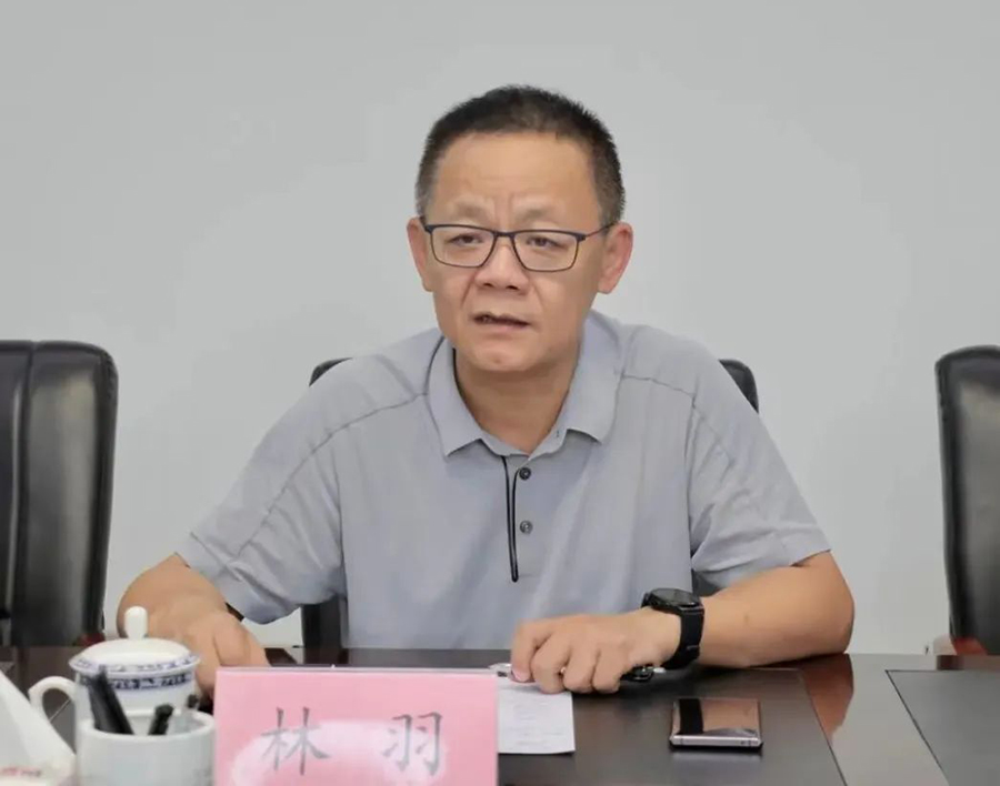 林羽。資料圖