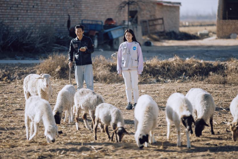 采風(fēng)團(tuán)參與閩寧鎮(zhèn)日常生活。王卿攝