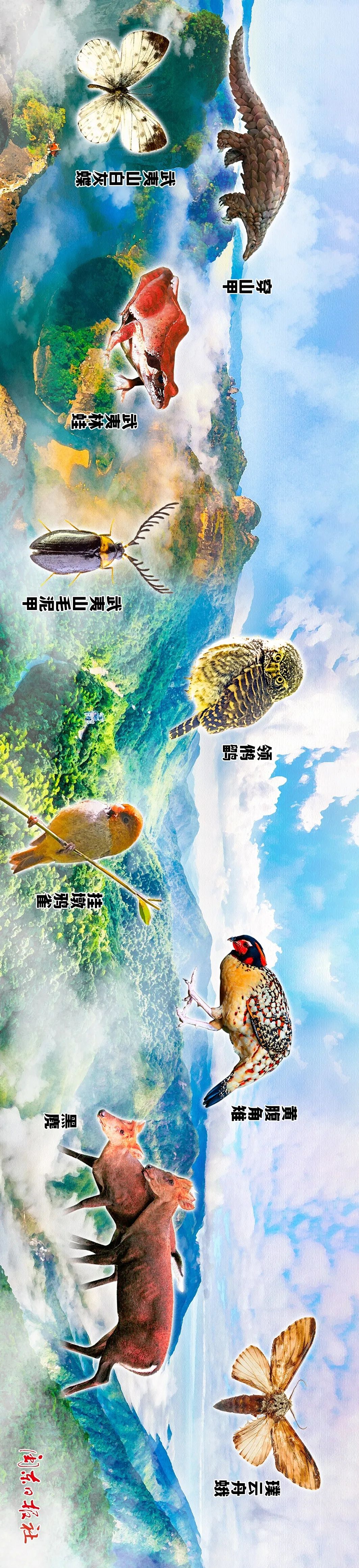 武夷山是世界著名的生物模式標(biāo)本產(chǎn)地。