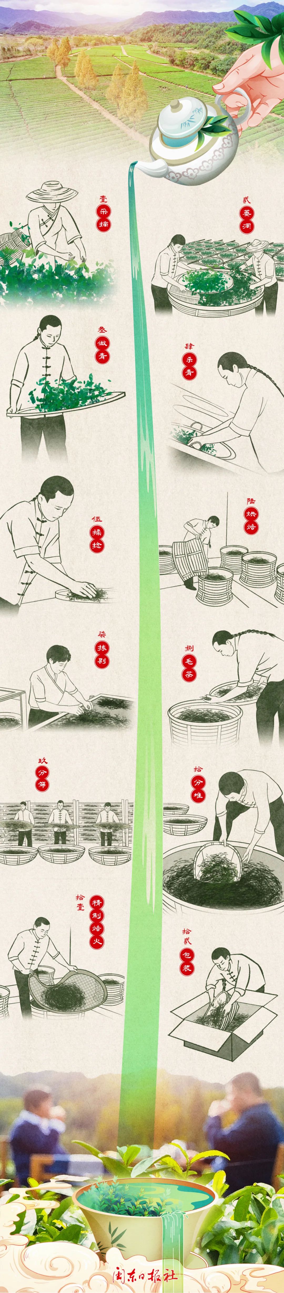 武夷巖茶制作工藝流程。