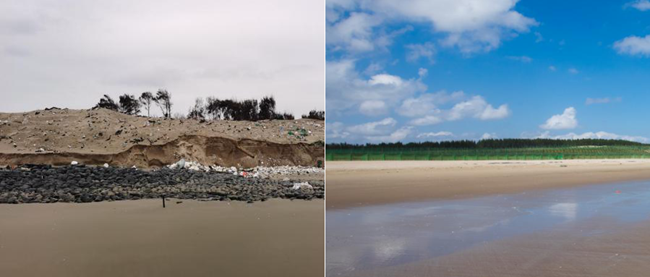 沙灘整治前后。長樂區(qū)融媒體中心供圖