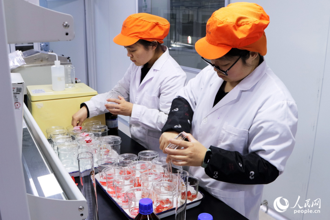 在南王科技研發(fā)中心，工作人員在做實驗。人民網(wǎng)記者 劉卿攝