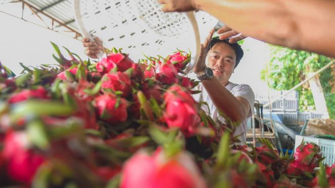 大宅村村民臉上洋溢著豐收的喜悅。 人民網(wǎng)記者 陳博攝