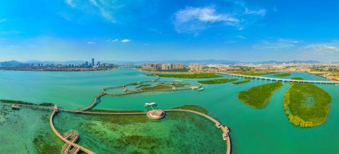 下潭尾紅樹林公園。人民網(wǎng)記者 陳博攝