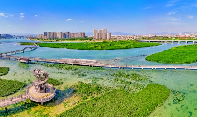 下潭尾紅樹林公園。人民網(wǎng)記者 陳博攝