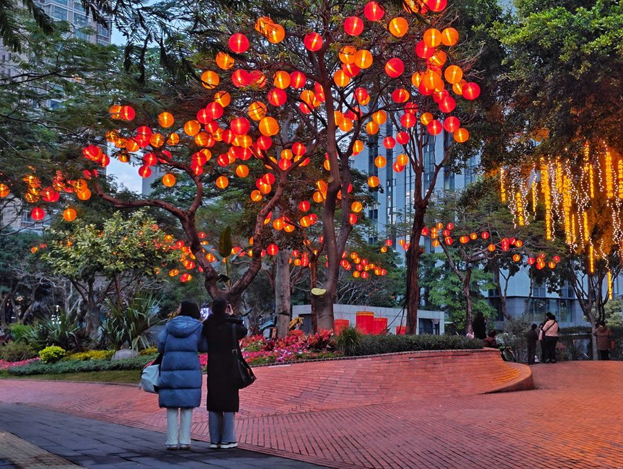 市民游客在美仁園內(nèi)賞燈籠。胡康強(qiáng)攝