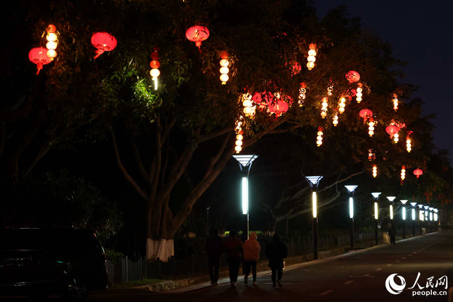 廈門思明環(huán)島路兩側(cè)掛滿燈籠。人民網(wǎng)記者 陳博攝