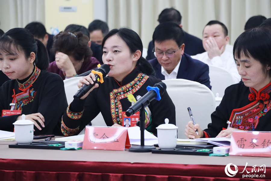 與會代表在代表團會議中踴躍發(fā)言。人民網(wǎng)記者 劉卿攝