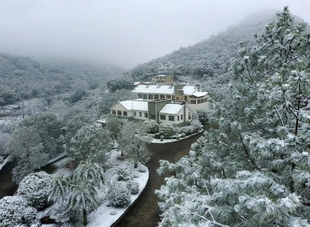 福州植物園北峰林場(chǎng)。王童攝