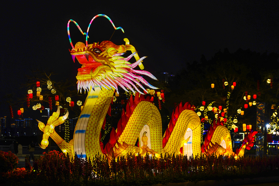 濱湖北路旁金龍橫臥，新年氛圍感拉滿。楊勁堅攝