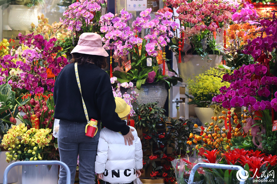廈門新年花市中，一對(duì)母女駐足觀賞五顏六色的蝴蝶蘭。人民網(wǎng)記者 陳博攝