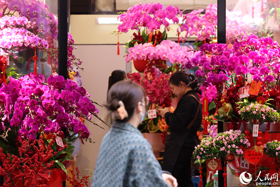 花姿婀娜的蝴蝶蘭，美得讓人忍不住想多看一眼。人民網(wǎng)記者 陳博攝